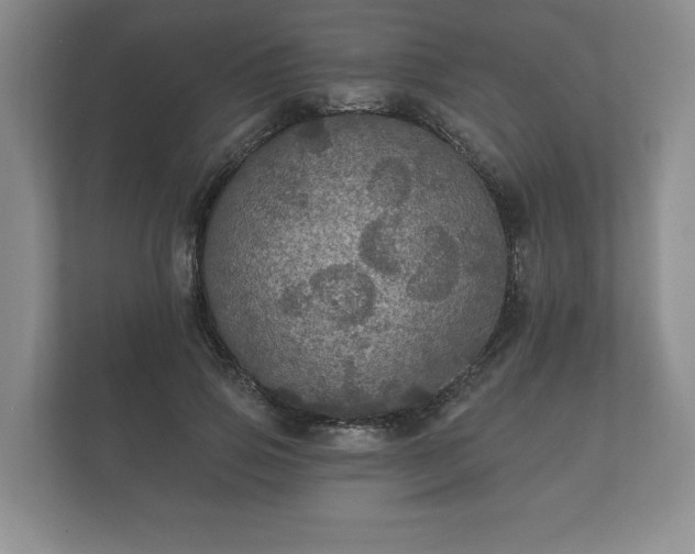 X0000112430741200908211200