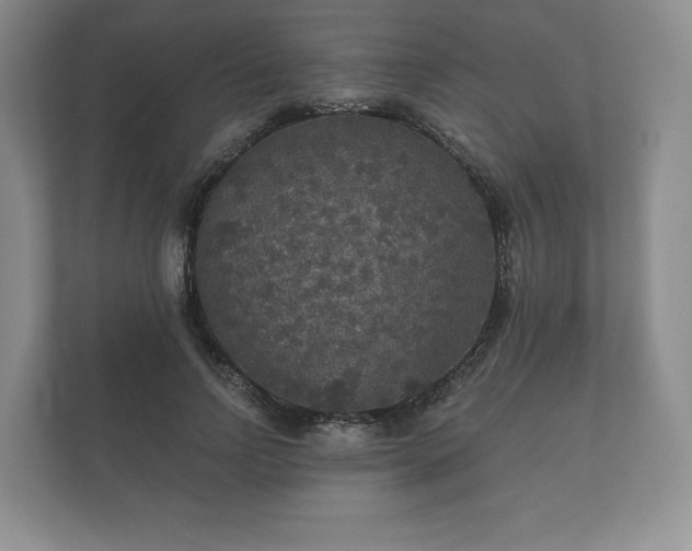 X0000112430742200908211200