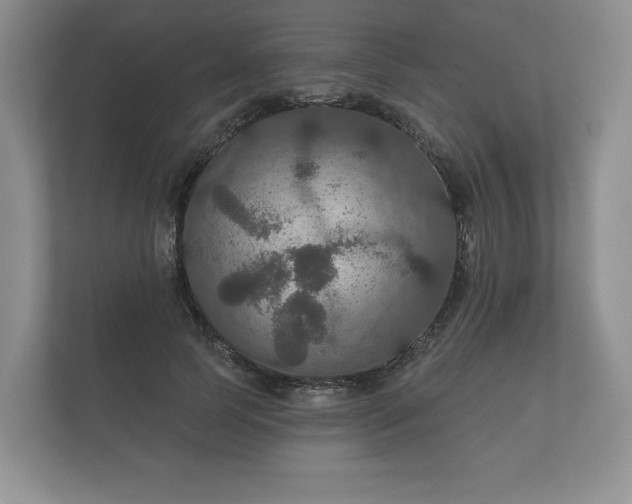X0000112430745200908211200