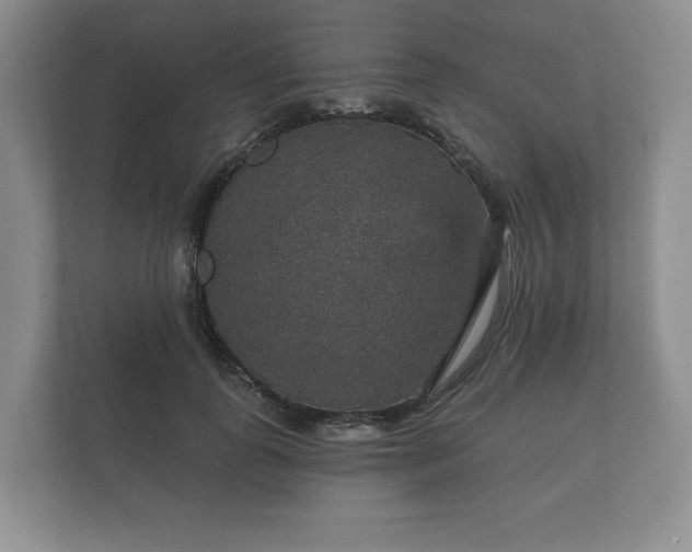 X0000112430747200908211200