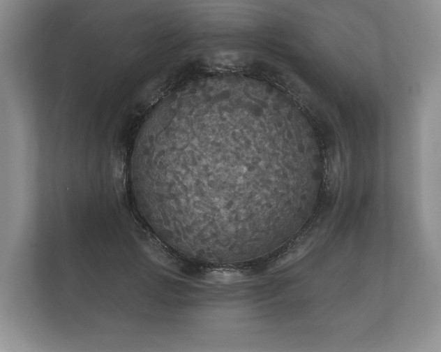 X0000112430749200908211200