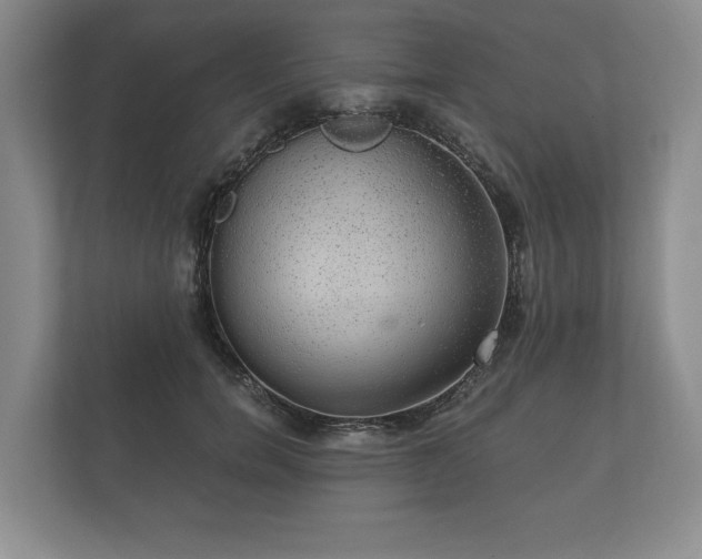 X0000112430750200908211200