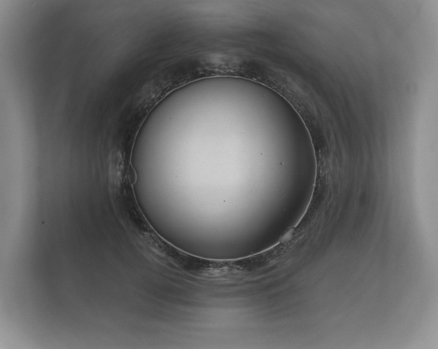 X0000112430752200908211200