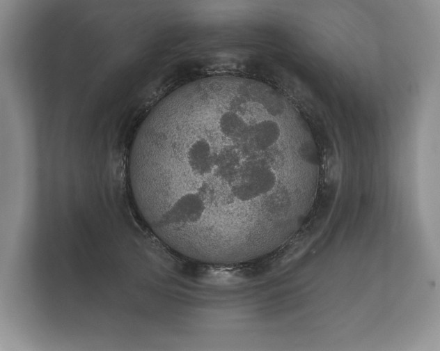 X0000112430753200908211200