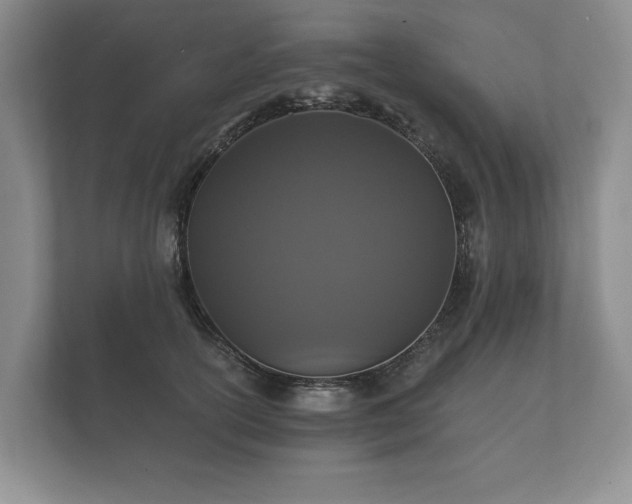 X0000112430754200908211200