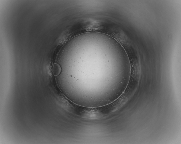 X0000112430755200908211200