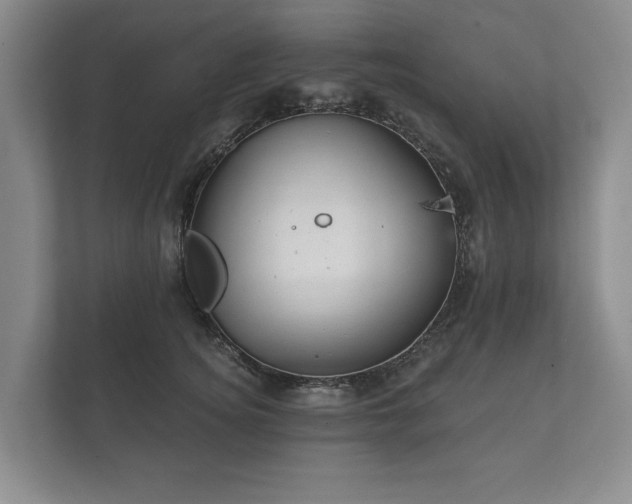 X0000112430756200908211200