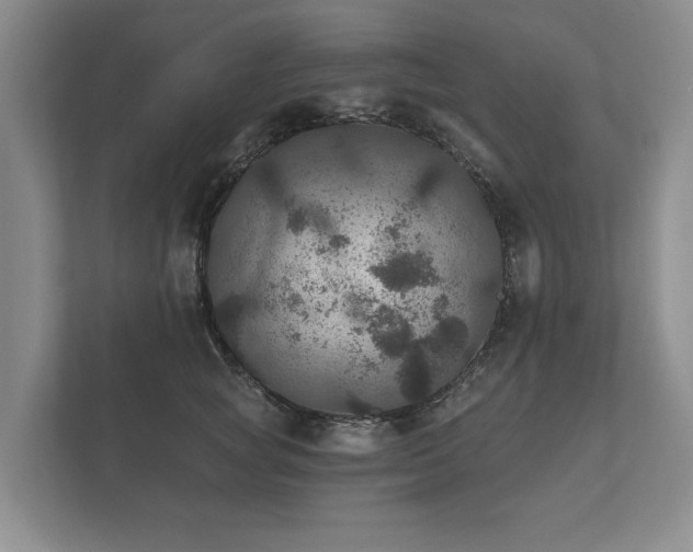 X0000112430757200908211200