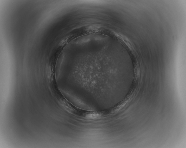 X0000112430759200908211200