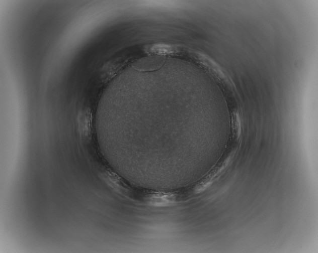 X0000112430760200908211200
