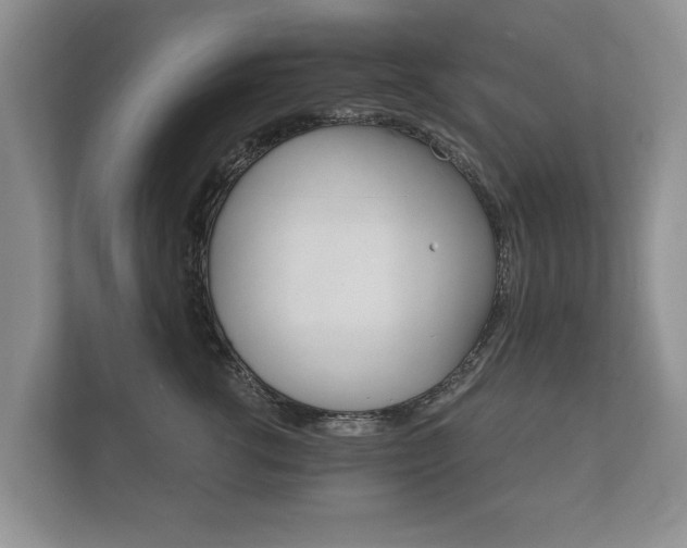X0000112430762200908211200