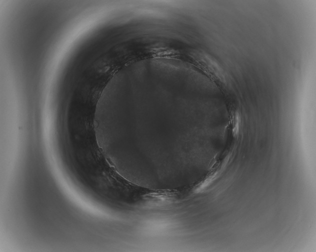 X0000112430763200908211200