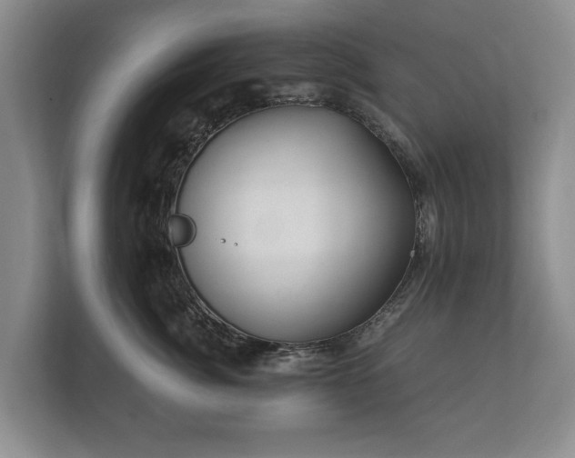 X0000112430764200908211200