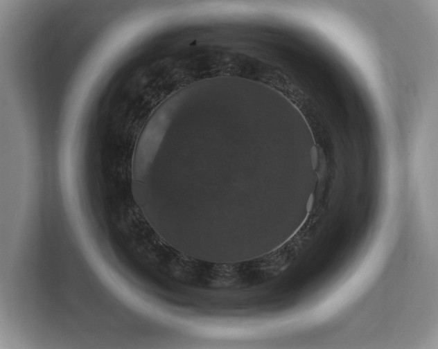 X0000112430766200908211200