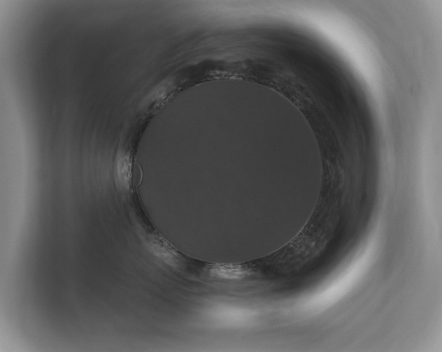 X0000112430767200908211200