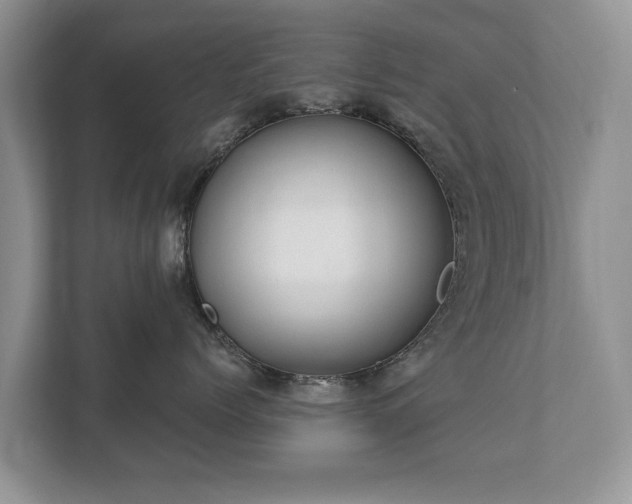 X0000112430768200908211200