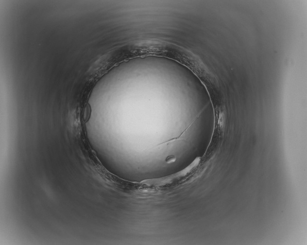 X0000112430771200908211200