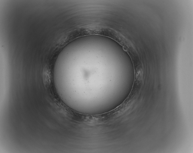 X0000112430772200908211200