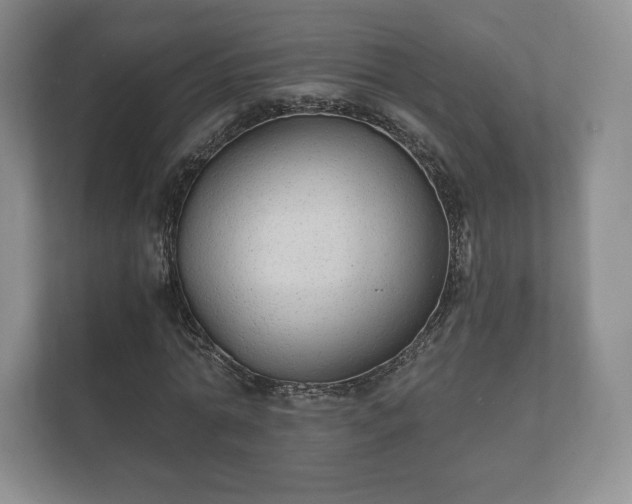 X0000112430774200908211200
