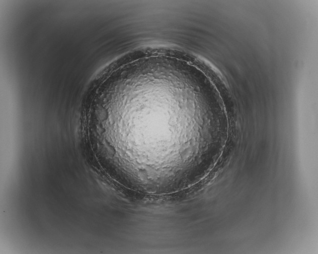 X0000112430775200908211200