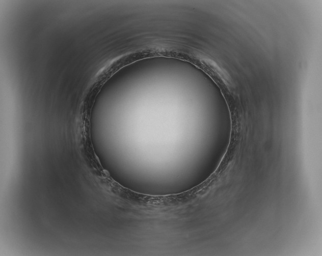 X0000112430776200908211159
