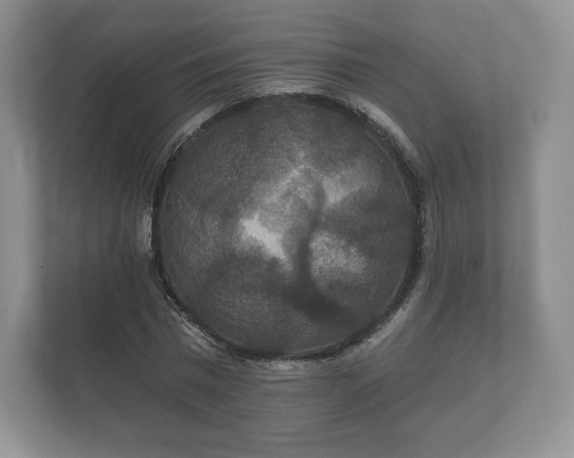 X0000112430777200908211159
