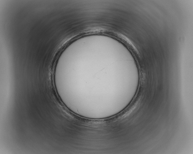 X0000112430778200908211159