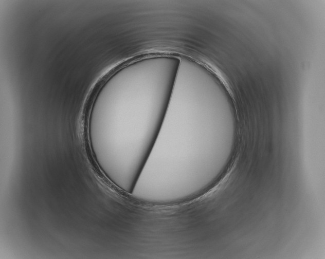 X0000112430779200908211159
