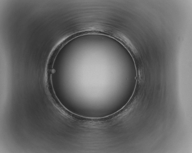X0000112430780200908211159
