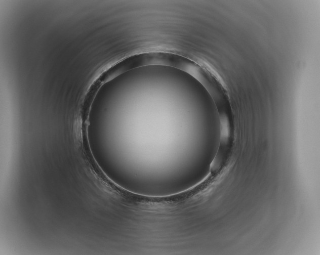 X0000112430781200908211159