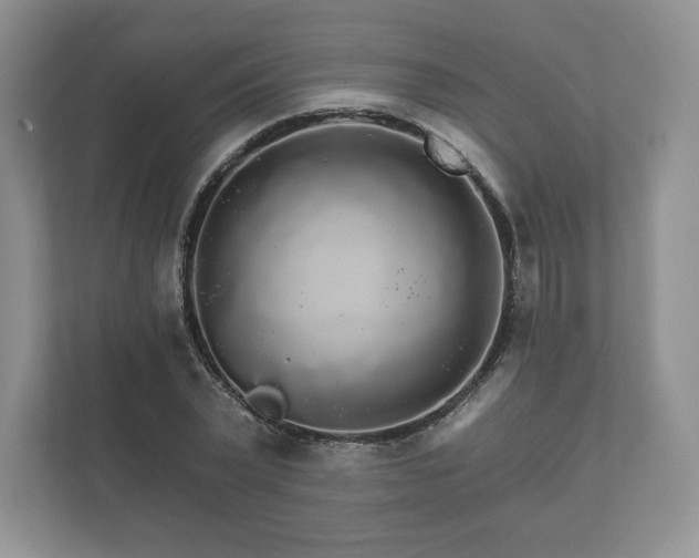 X0000112430783200908211159