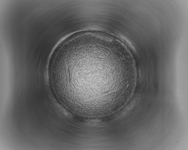 X0000112430784200908211159