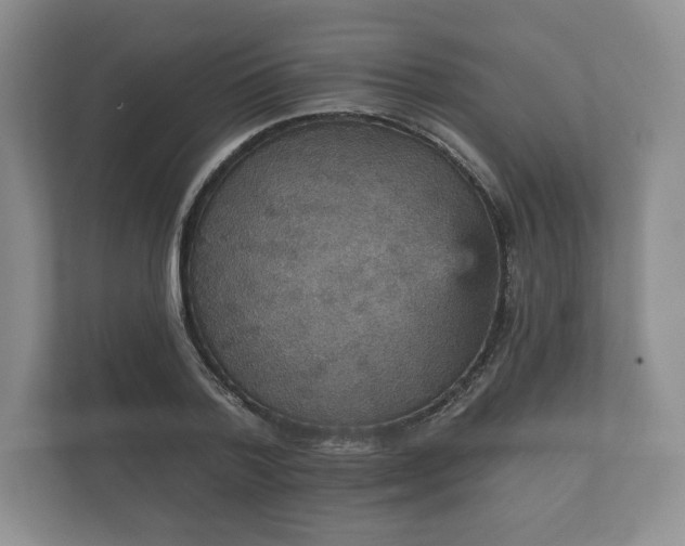 X0000112430788200908211159