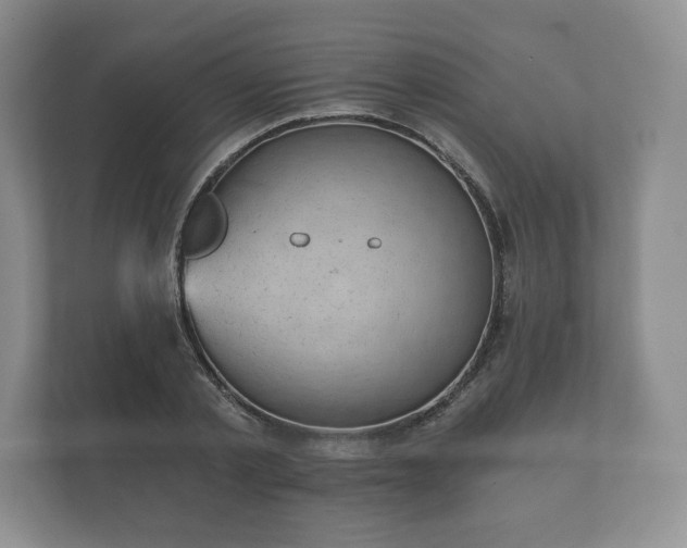 X0000112430789200908211159