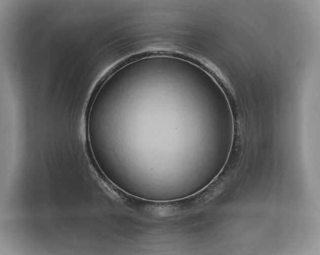 X0000112430791200908211159