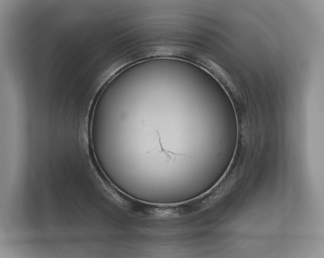 X0000112430794200908211159
