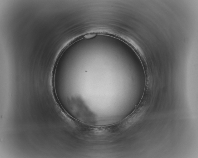 X0000112430799200908211159