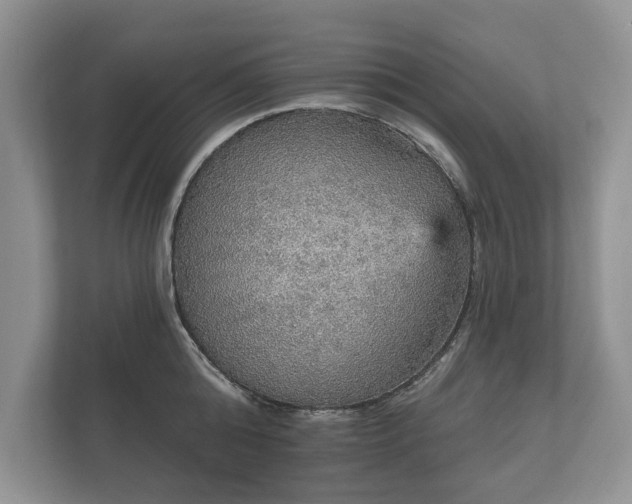 X0000112430808200908211159