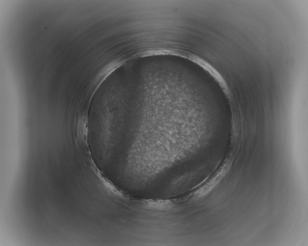 X0000112430809200908211159