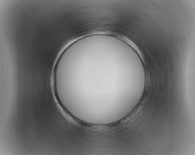X0000112430811200908211159