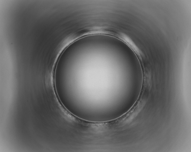 X0000112430813200908211159