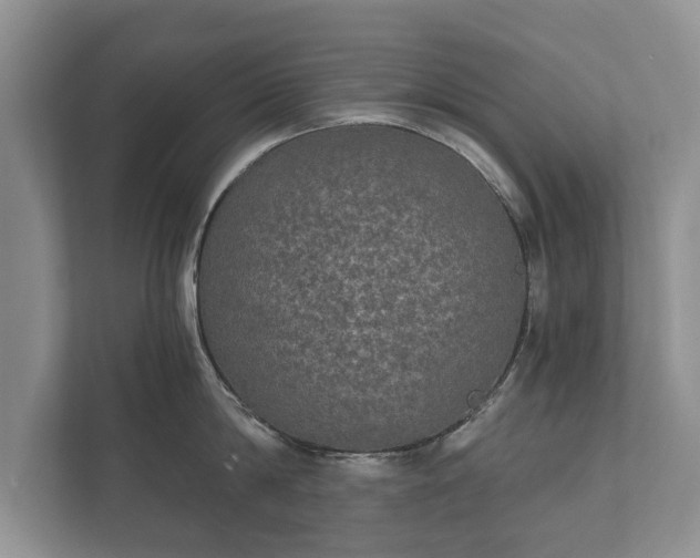 X0000112430814200908211159