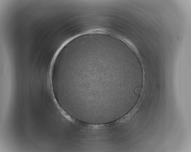 X0000112430816200908211159
