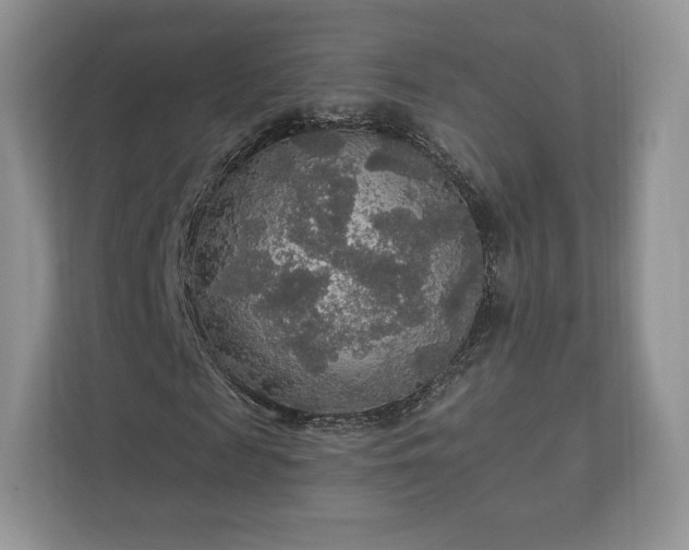 X0000112430817200908211158