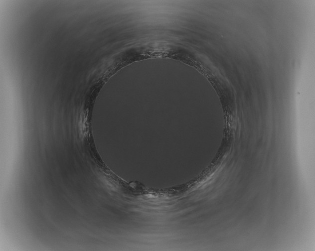 X0000112430818200908211158
