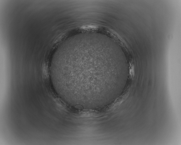 X0000112430819200908211158