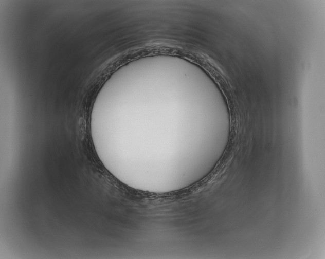 X0000112430821200908211158