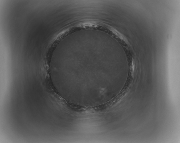X0000112430822200908211158