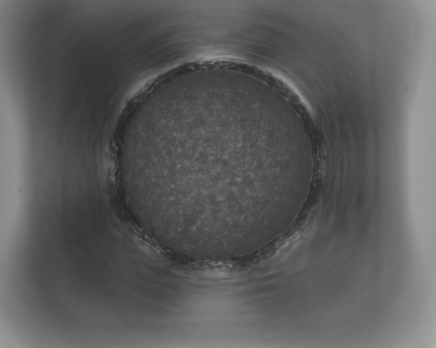 X0000112430823200908211158