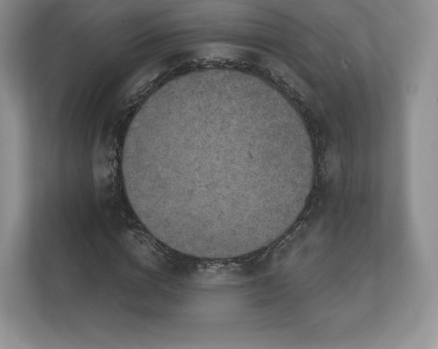 X0000112430824200908211158